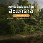 วิจัยสิ่งแวดล้อม